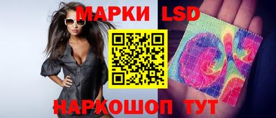 spice Тара
