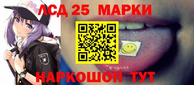 spice Тара