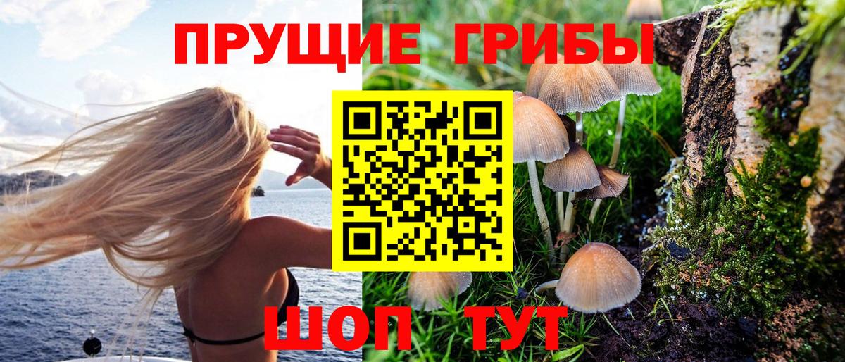 Псилоцибиновые грибы ЛСД  Вход с VPN  Псилоцибиновые грибы Psilocybine cubensis  Ноябрьск 
