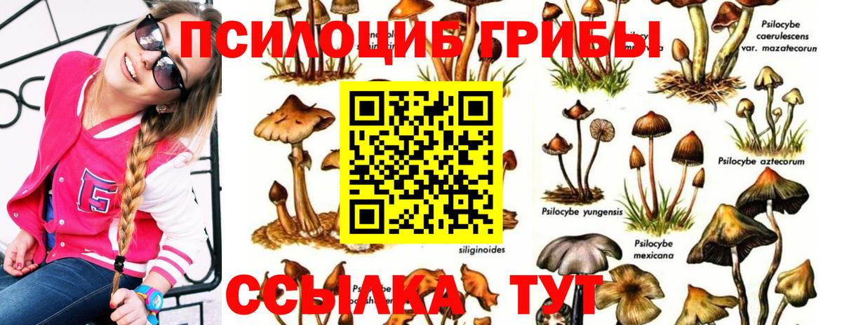 Галлюциногенные грибы мухоморы Ноябрьск
